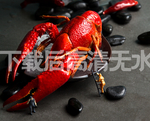 小龙虾