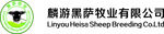 黑萨牧业logo
