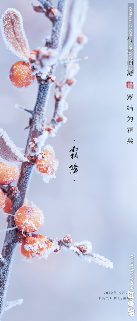 霜降