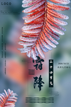 霜降