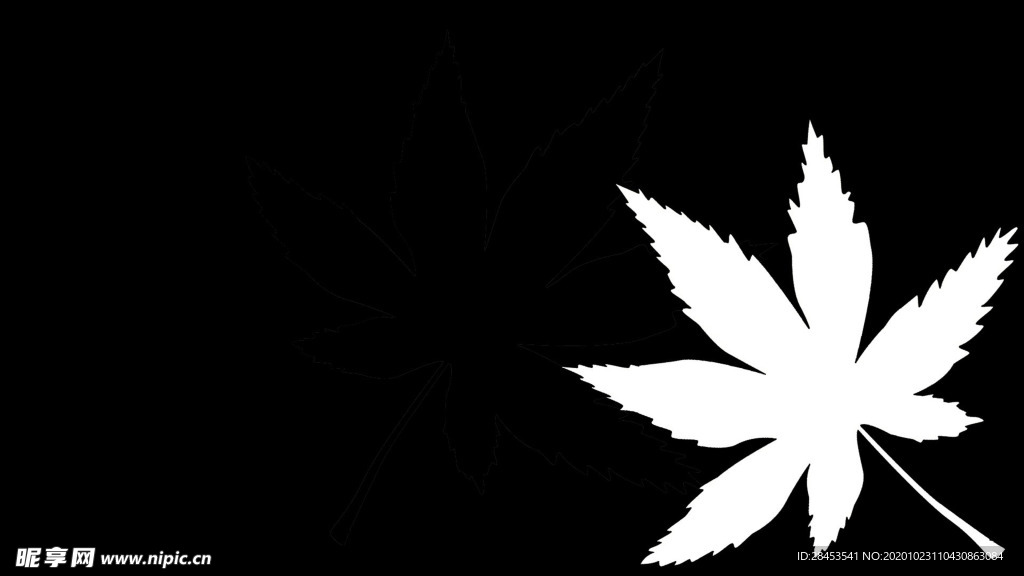 拍摄素材