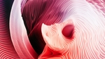 炫彩
