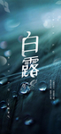 白露海报