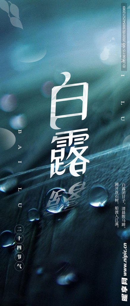 白露海报