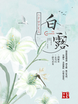 白露海报