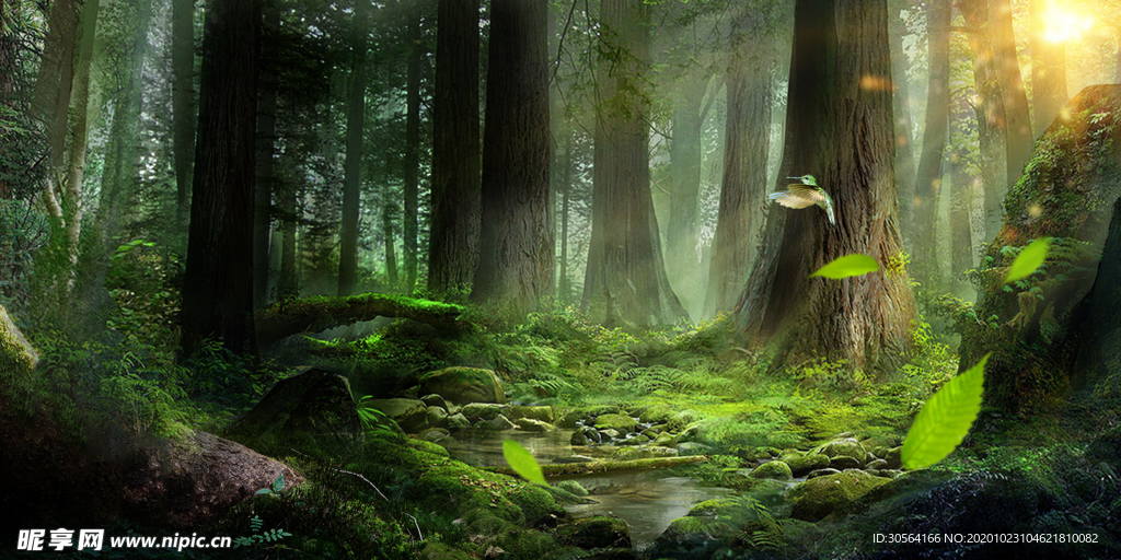 森林梦幻魔幻清新背景海报素材