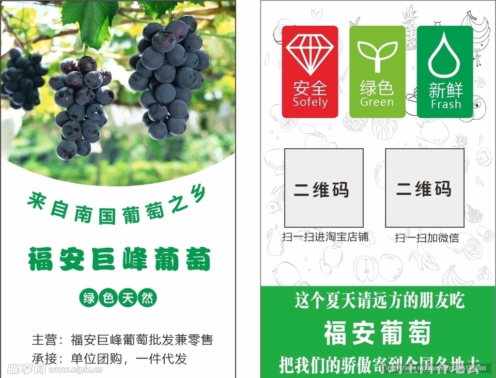 葡萄 名片 竖版
