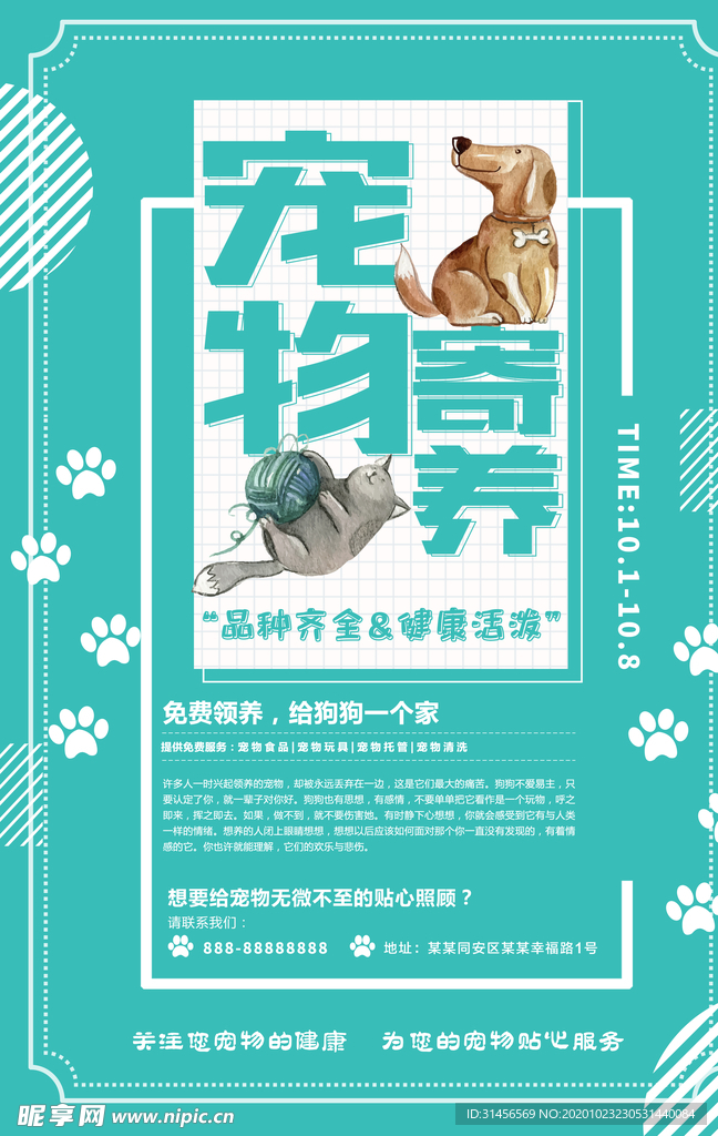 宠物寄养