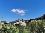 美丽乡村