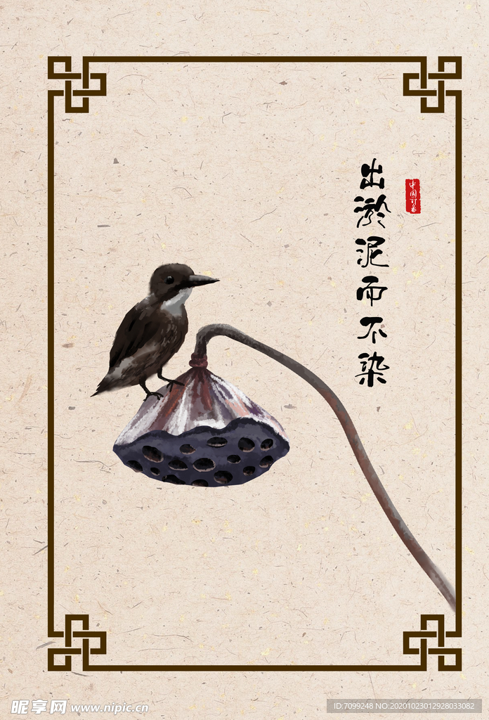 国画荷花
