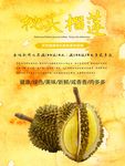 榴莲海报