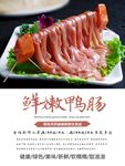 鸭肠海报