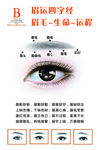 美容