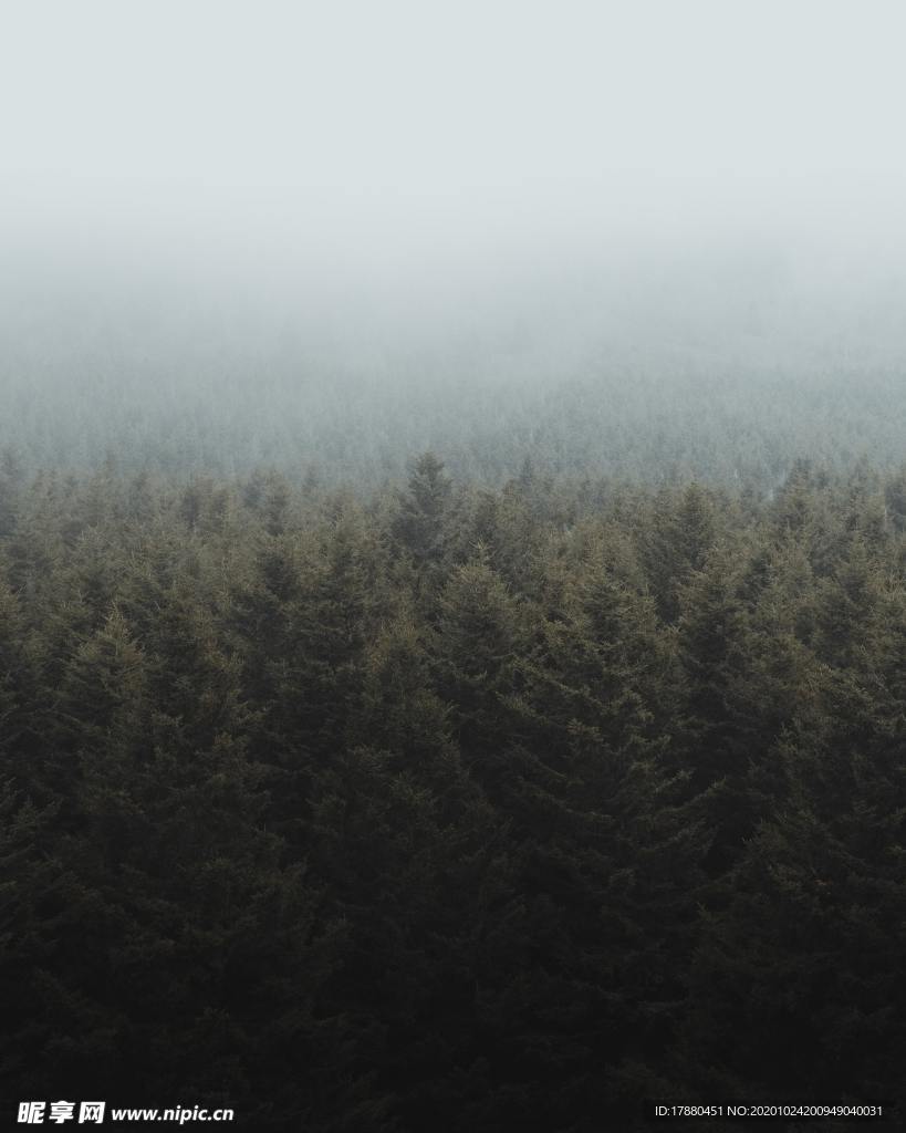 山林