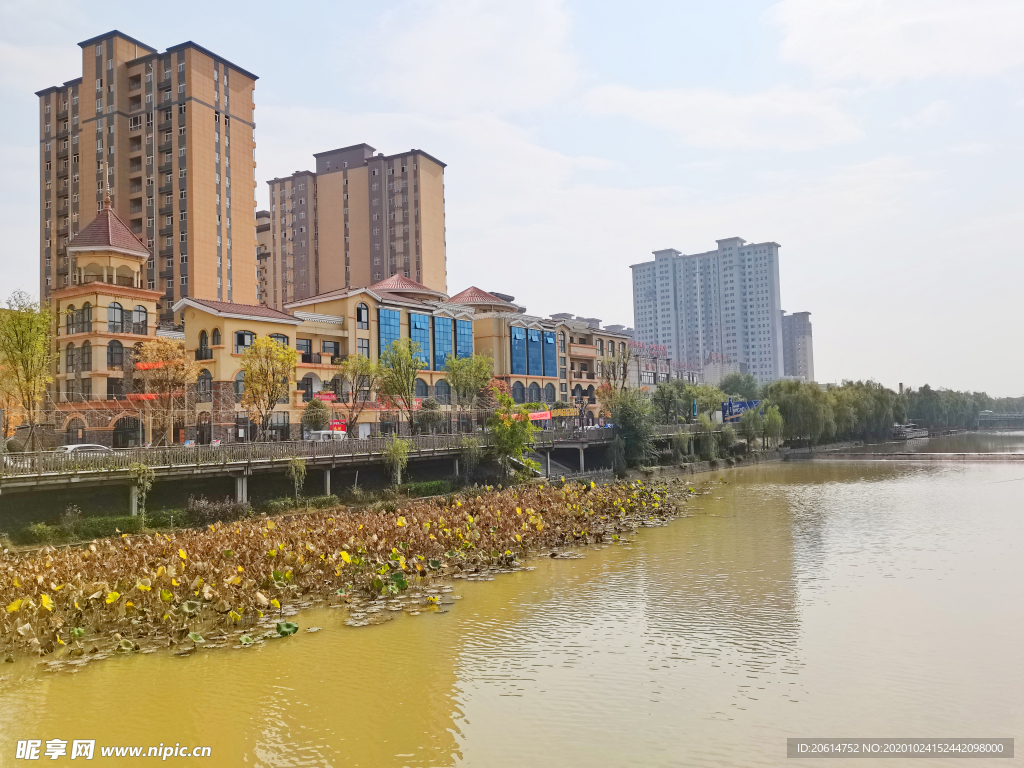 河畔的城市高楼