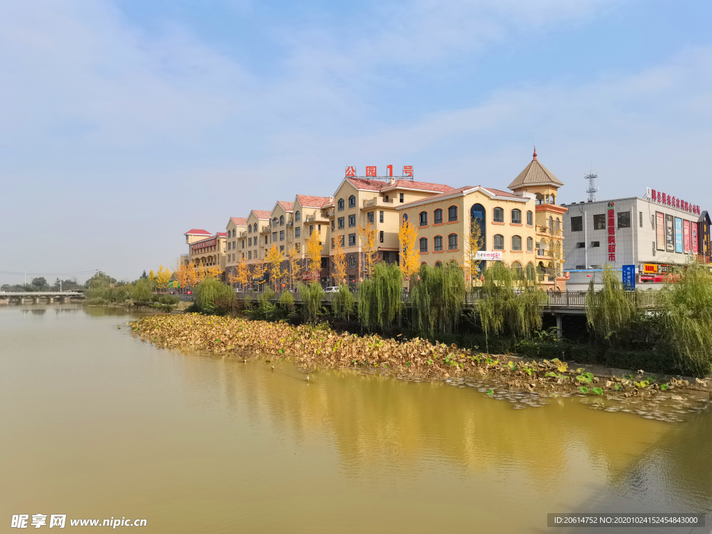 河畔的城市高楼风景