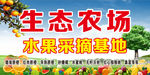 生态农场 水果采摘基地