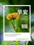 积极正能量早安海报cdr