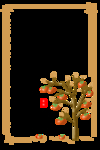 霜降