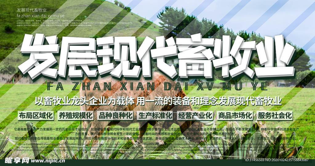 发展现代畜牧业