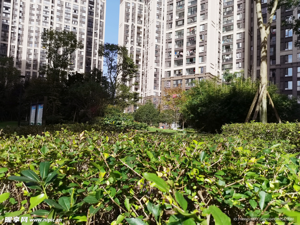 小区环境