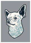 狗 DOG 动物 卡通