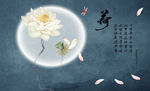 荷花 蜻蜓 花瓣 背景墙