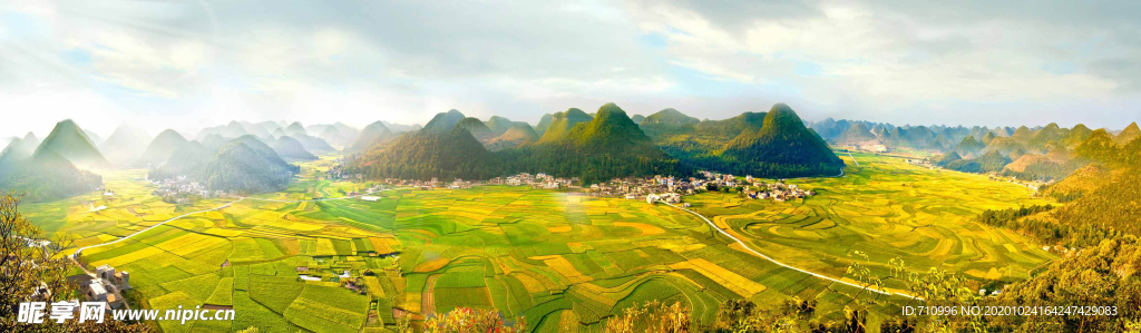 金色秋天稻田风景