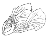 青菜