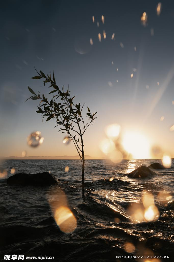 海边