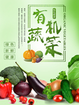 有机蔬菜