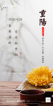 重阳节节气海报
