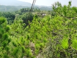 南方丘陵自然风景