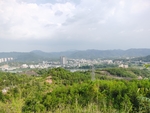 农村山野风景