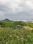 南方山地自然风光