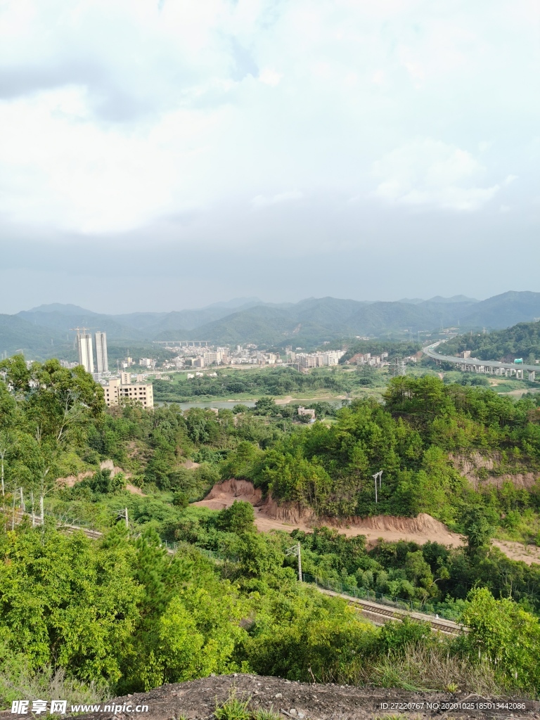 小树林风景