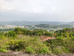 户外小山坡自然风光