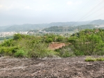 山坡上的风景