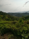 群山环抱