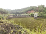 水库
