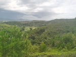 绿色自然山峦