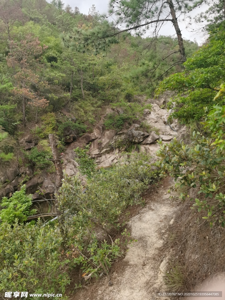 登山森林