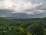 绿色自然山地森林风光