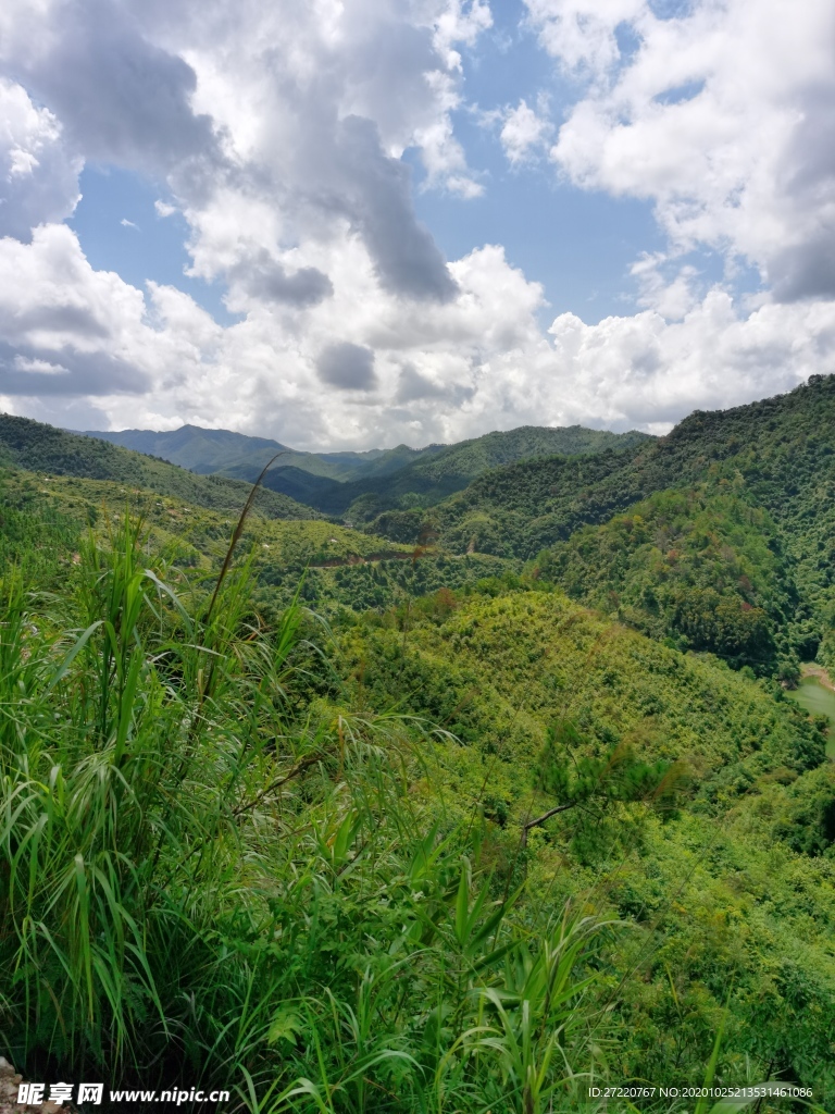 南方森林 群山常绿