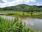 南方丘陵 青山下的水池