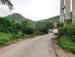 农村  森林