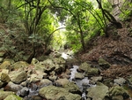 山间溪流