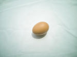 鸡蛋
