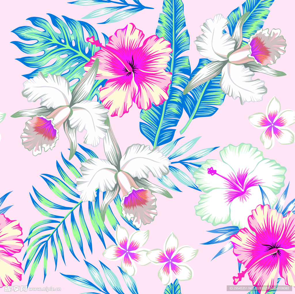热带花