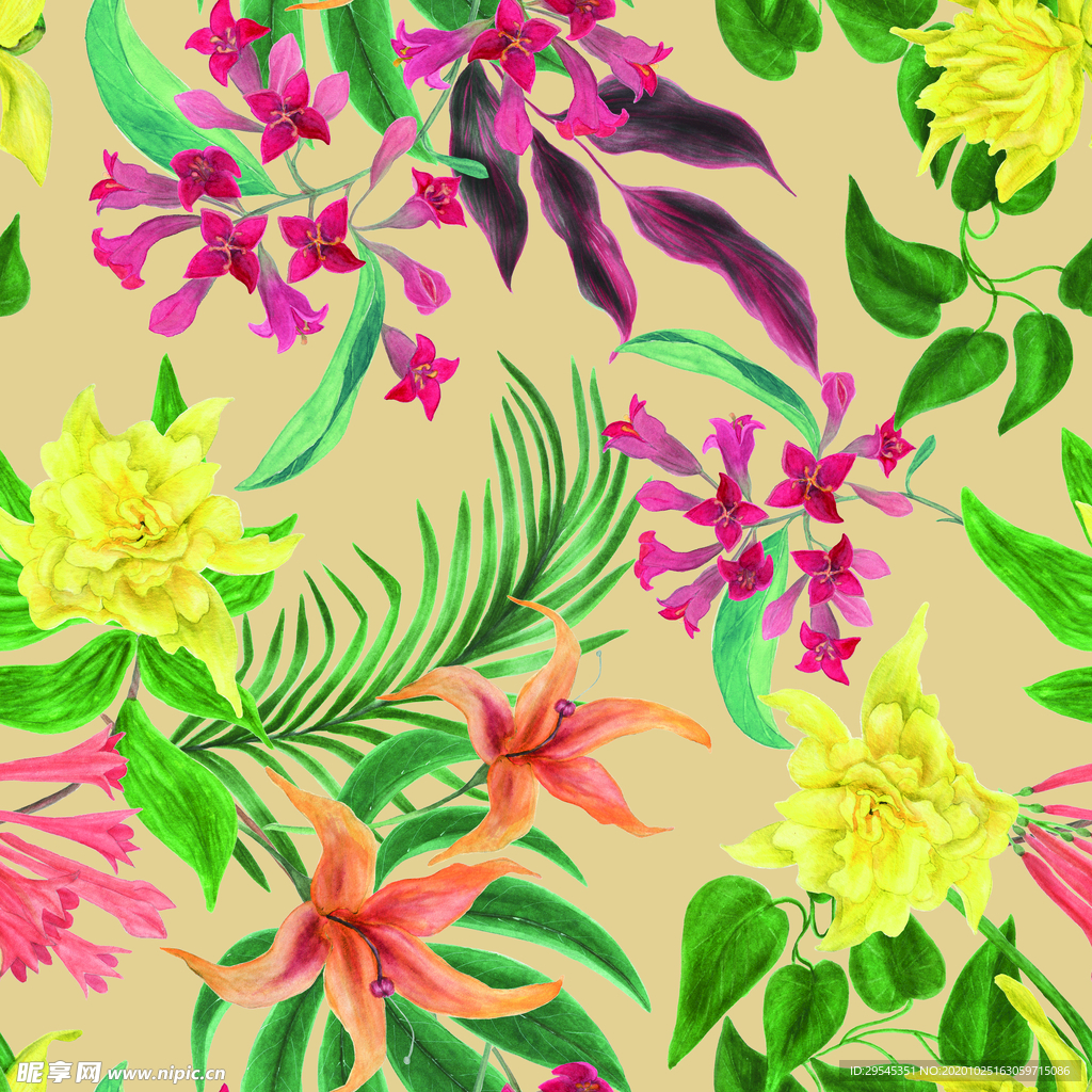 热带花